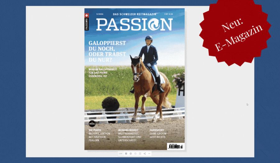Ad E-Magazin blau E-Magazin