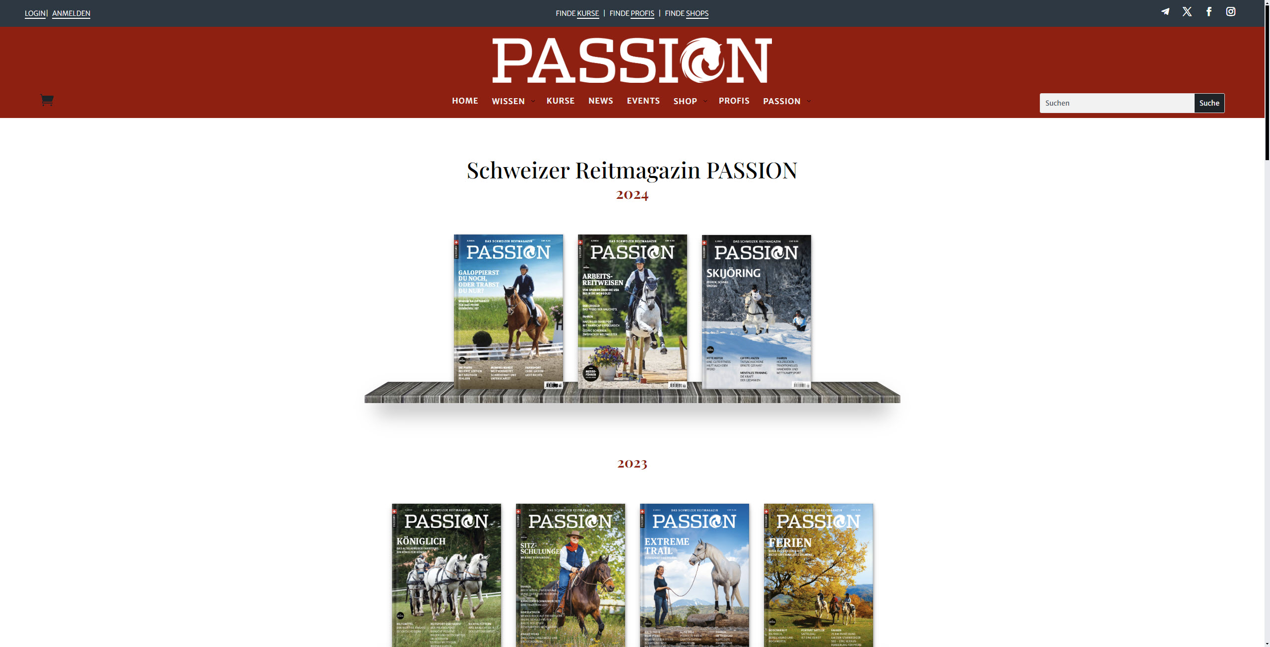 E-Magazin